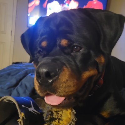 BlakeWareham3's profile picture. 