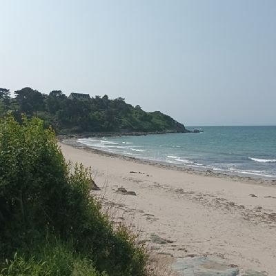 znzaznzez's profile picture. 