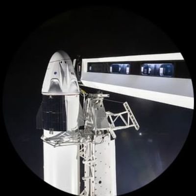 Saxon036's profile picture. Son of Elon musk 🇺🇸#thankyall for the love