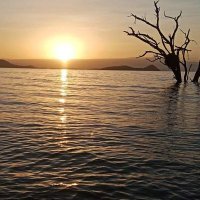 Mutembei (@mutembeistephe1) 's Twitter Profile