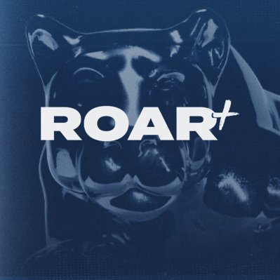 ROAR+ Profile