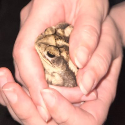 fund abortions in bio