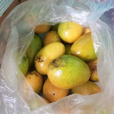 adyasaibeb's profile picture. 