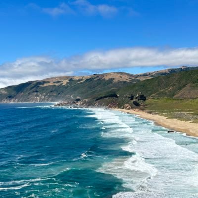 reee416's profile picture. 