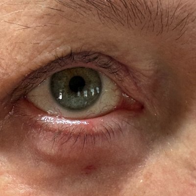 McalisterL19069's profile picture. I didn’t vote for the rapist