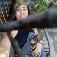 Cn (@cnhergui) 's Twitter Profile Photo Cn (@cnhergui) 's Twitter Profile Photo