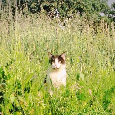 milcia457's profile picture. #Prolife 🤍
😽💞