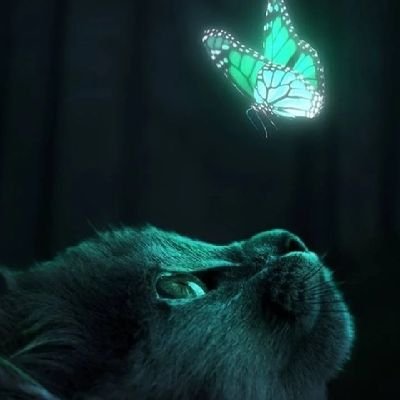 Chica27Myc's profile picture. 