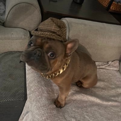 Crete15349214's profile picture. Don’t mess with Texas