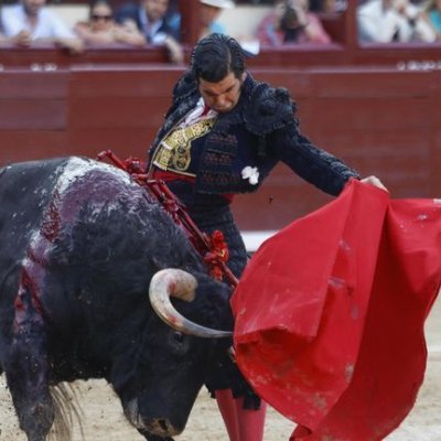 Toroid99's profile picture. En tiempos de degenración sembremos ESPERANZA y ÉPICA.
De pie sobre un mundo en ruinas.