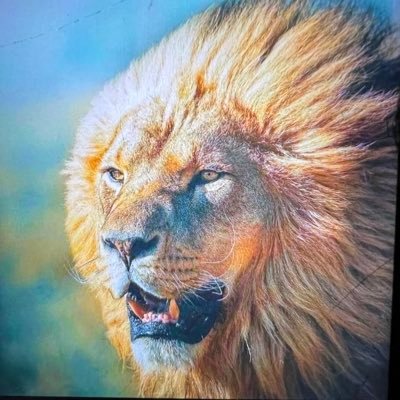 OsiobeJame26705's profile picture. 