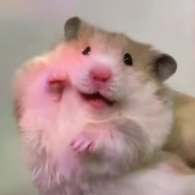 ○さんのプロフィール画像