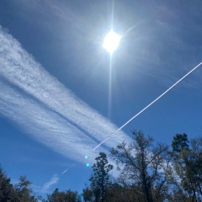 SharaySharay5's profile picture. 