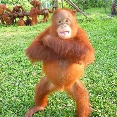 1whenrocky's profile picture. when the rocker