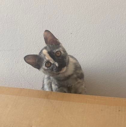 bb11960522's profile picture. 