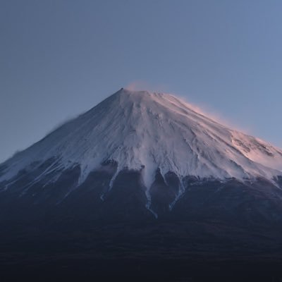 ElectDadada's profile picture. 