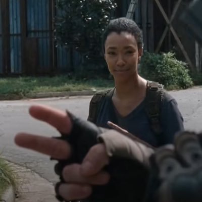 thesteadyteam's profile picture. self deluded polymath