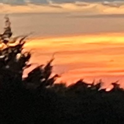 JanCamp64285090's profile picture. Love God, Family, People,Animals.  Love Our Country, Traveling, Fishing.  I’m a License  Cosmetologist retired. love Life. I enjoy crafting and making things.