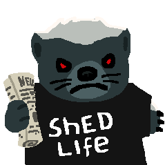 awesomekush's profile picture. 