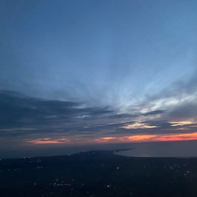 falsofake369's profile picture. 