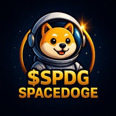 kayjosh333's profile picture. #SPDG 🚀 / $LST
