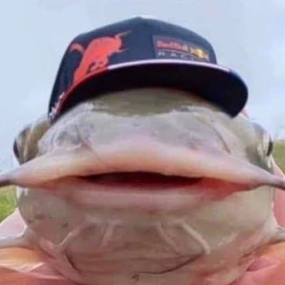 ver1nterval's profile picture. orange army tribun lideri