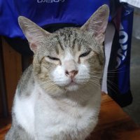 jp (@jperlalala) 's Twitter Profile