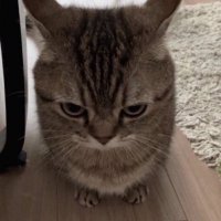 fuckitsmrguy (@ohnoitsmrg) 's Twitter Profile