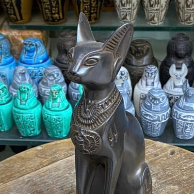 eleanorccarey's profile picture. UVA / SMU / NYC / Nantucket