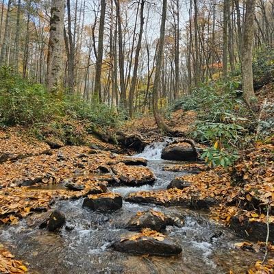 Hypereyeson's profile picture. 