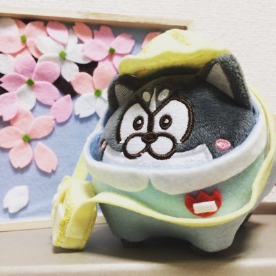 もっち🐾さんのプロフィール画像