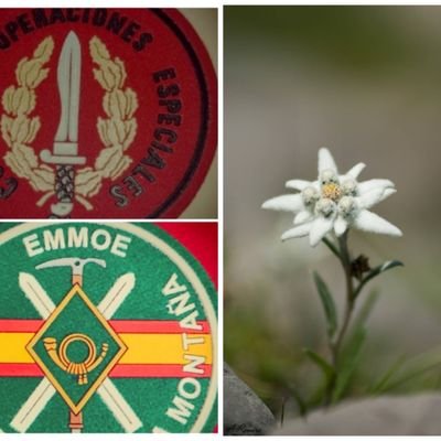 Tengo un alma y esta cargada.,
Dog-tarado en batalla.,
Ni de izquierdas, ni de derechas, el bien lo alago y lo mal echo lo critico 🇪🇦✡️✝️❤️💛❤️
