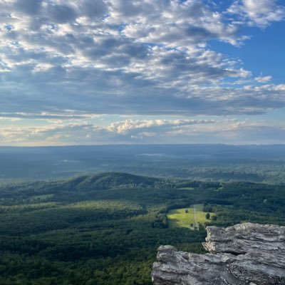 blackfirstfoo's profile picture. 🗽News & Politics Focused on Black American Progress