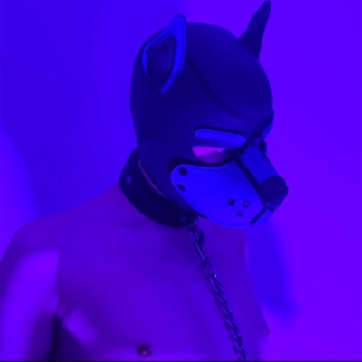 Call me your good boy? 🥺 | Loves attention & praise 🥰 | DMs open 🤤