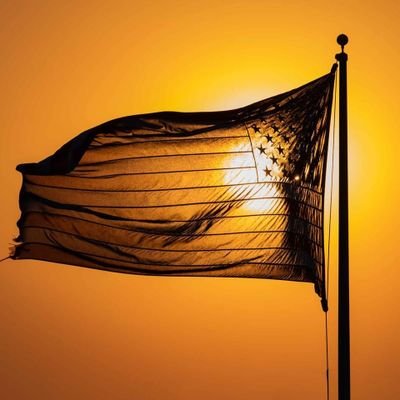 Patriot7484's profile picture. 