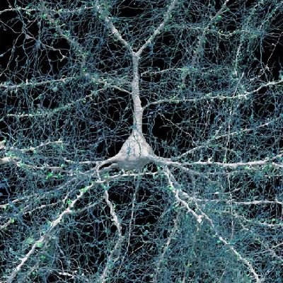 Science967's profile picture. Science rule the world