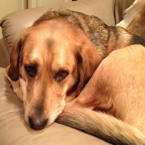 mponte4866's profile picture. 