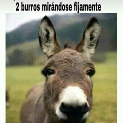 bregoEmanuel1's profile picture. Mirar 😎