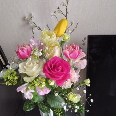 shinkoha1213's profile picture. ハングル勉強中/韓ドラ/紙もの製作/パッチワーク/お花大好き/元保育士/信教の自由/日本ハムファイターズファン/無言フォロー失礼します/DM返信できません