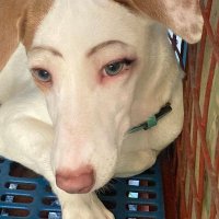 ว้อทดูยูว้อน (@treasure12tm) 's Twitter Profile Photo