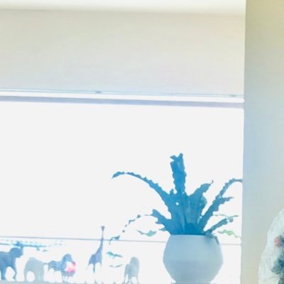 patriot1917834's profile picture. ⚪︎参政党支持 ⚪︎友、家族、日本が何より大切です ⚪︎戦後に奪われた正しい歴史認識と国家観念を取り戻す ⚪︎皇室を守る ⚪︎国民に自信と愛国心を ⚪︎次の世代に誇れる美しい日本を手渡そう