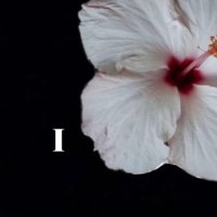 🫶🏻🧊 (@lantenson) 's Twitter Profile