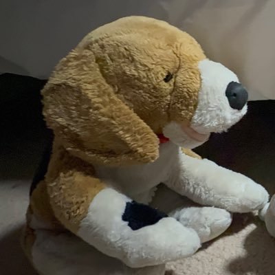 JPP_PlushVideos's profile picture. bagel 🥯