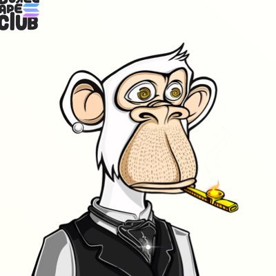 ecb1bn's profile picture. Solana Top Player - Profit MAXI