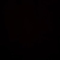 . (@d1955d) 's Twitter Profile