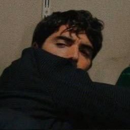 niil_q's profile picture. مناديب همّي لا ترّيح ولا ترتاح