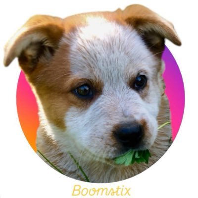 Memezeymeme's profile picture. https://t.co/rt7xOLu7ol