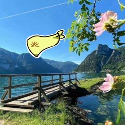 HeelOrgineel's profile picture. Sahara #0319512