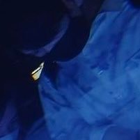 poko1596223's profile picture. 23歳　valoやる友達ほしいです！
ダイヤ2 「最高アセ2」　基本的に合わせピックします！
たのしくやりたいがもっとうです！
ガチで上げたい人は、あんま合わないかも、できるだけ真剣にはやりたいです！