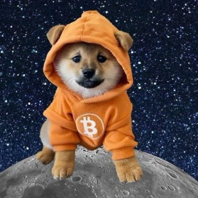 runes:$dog
ordinals: $btcs $honk $pizza
NFT: Runestone Goosinals Xmonkes
水浒.xOG成员